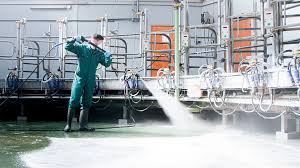 Chlorsan - High Foaming Commercial  Food processing areas and Equipment Cleaner Sanitiser